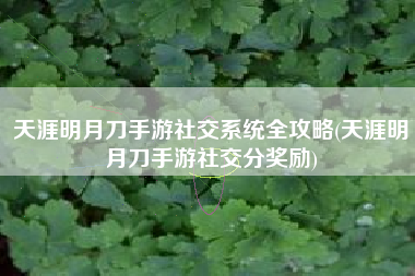 天涯明月刀手游社交系统全攻略(天涯明月刀手游社交分奖励)