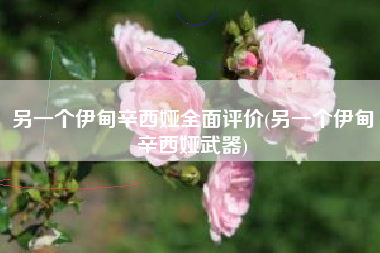 另一个伊甸辛西娅全面评价(另一个伊甸辛西娅武器)