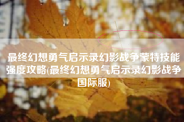 最终幻想勇气启示录幻影战争蒙特技能强度攻略(最终幻想勇气启示录幻影战争国际服)