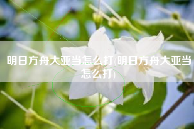 明日方舟大亚当怎么打(明日方舟大亚当怎么打)