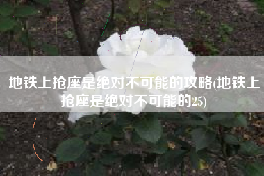 地铁上抢座是绝对不可能的攻略(地铁上抢座是绝对不可能的25)