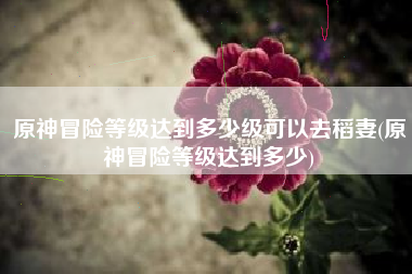 原神冒险等级达到多少级可以去稻妻(原神冒险等级达到多少)