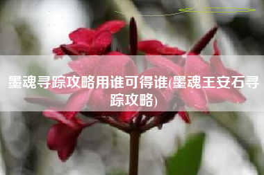 墨魂寻踪攻略用谁可得谁(墨魂王安石寻踪攻略)
