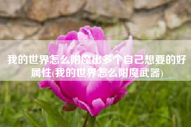 我的世界怎么附魔出多个自己想要的好属性(我的世界怎么附魔武器)