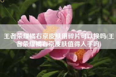 王者荣耀橘右京皮肤用碎片可以换吗(王者荣耀橘右京皮肤值得入手吗)