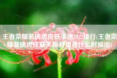 王者荣耀裴擒虎皮肤手感2022排行(王者荣耀裴擒虎皮肤天狼狩猎者什么时候出)