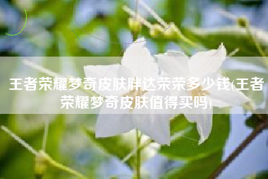 王者荣耀梦奇皮肤胖达荣荣多少钱(王者荣耀梦奇皮肤值得买吗)