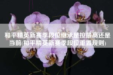和平精英新赛季段位继承是按最高还是当前(和平精英新赛季段位重置规则)