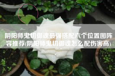 阴阳师鬼切御魂最强搭配六个位置图阵容推荐(阴阳师鬼切御魂怎么配伤害高)