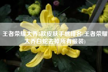 王者荣耀大乔5款皮肤手感排名(王者荣耀大乔白蛇去掉所有服装)