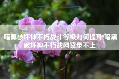 暗黑破坏神不朽战斗等级如何提升(暗黑破坏神不朽战网登录不上)