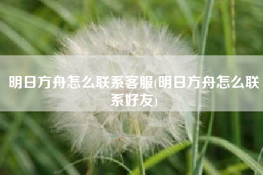 明日方舟怎么联系客服(明日方舟怎么联系好友) 明日方舟怎么联系客服(明日方舟怎么联系好友)