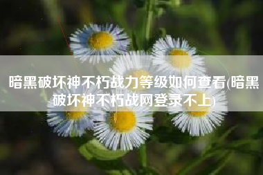 暗黑破坏神不朽战力等级如何查看(暗黑破坏神不朽战网登录不上) 暗黑破坏神不朽战力等级如何查看(暗黑破坏神不朽战网登录不上)