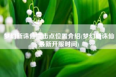 梦幻新诛仙雷击点位置介绍(梦幻新诛仙最新开服时间) 梦幻新诛仙雷击点位置介绍(梦幻新诛仙最新开服时间)