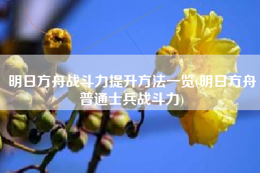 明日方舟战斗力提升方法一览(明日方舟普通士兵战斗力) 明日方舟战斗力提升方法一览(明日方舟普通士兵战斗力)