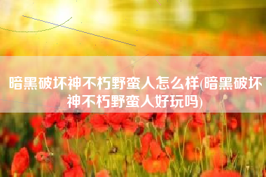 暗黑破坏神不朽野蛮人怎么样(暗黑破坏神不朽野蛮人好玩吗)