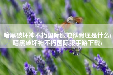 暗黑破坏神不朽国际服地狱骨匣是什么(暗黑破坏神不朽国际服手游下载)