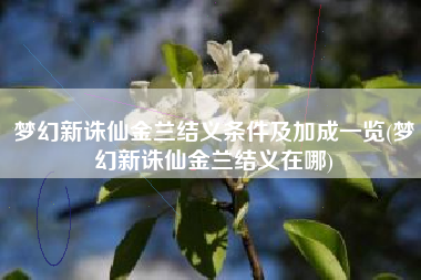 梦幻新诛仙金兰结义条件及加成一览(梦幻新诛仙金兰结义在哪)