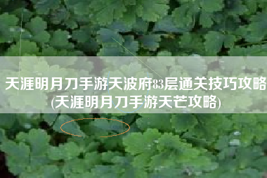 天涯明月刀手游天波府83层通关技巧攻略(天涯明月刀手游天芒攻略)