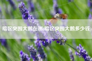 暗区突围大鹅在哪(暗区突围大鹅多少钱)