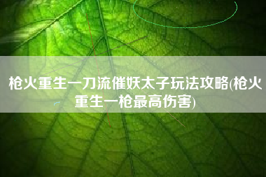 枪火重生一刀流催妖太子玩法攻略(枪火重生一枪最高伤害)