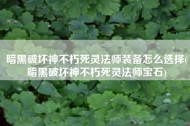 暗黑破坏神不朽死灵法师装备怎么选择(暗黑破坏神不朽死灵法师宝石)