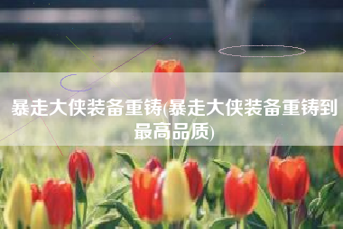 暴走大侠装备重铸(暴走大侠装备重铸到最高品质)