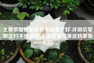 王者荣耀孙策皮肤手感哪个好-评测后挚爱之约手感最好(王者荣耀孙策皮肤挚爱之约)
