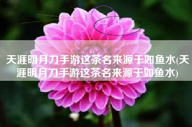 天涯明月刀手游这茶名来源于如鱼水(天涯明月刀手游这茶名来源于如鱼水)