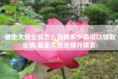 暴走大侠坐骑怎么获得多少级可以领取坐骑(暴走大侠坐骑升级表) 暴走大侠坐骑怎么获得多少级可以领取坐骑(暴走大侠坐骑升级表)