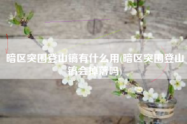暗区突围登山镐有什么用(暗区突围登山镐会掉落吗)