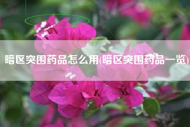 暗区突围药品怎么用(暗区突围药品一览)