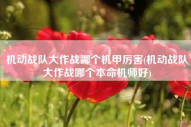机动战队大作战哪个机甲厉害(机动战队大作战哪个本命机师好)