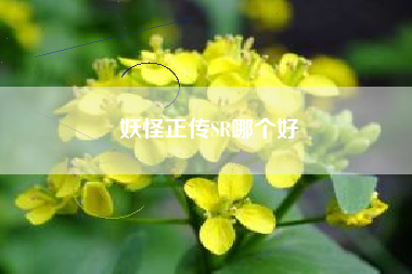 妖怪正传SR哪个好