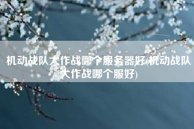 机动战队大作战哪个服务器好(机动战队大作战哪个服好)