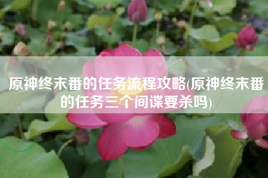 原神终末番的任务流程攻略(原神终末番的任务三个间谍要杀吗)