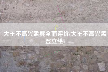大王不高兴孟婆全面评价(大王不高兴孟婆立绘)