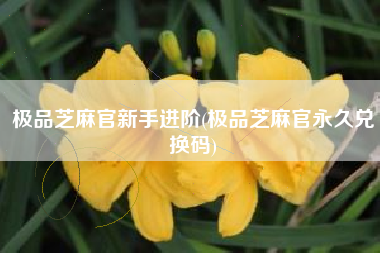 极品芝麻官新手进阶(极品芝麻官永久兑换码) 极品芝麻官新手进阶(极品芝麻官永久兑换码)