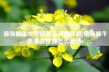 最强蜗牛大卫技能及获得攻略(最强蜗牛贵重品技能怎么激活) 最强蜗牛大卫技能及获得攻略(最强蜗牛贵重品技能怎么激活)