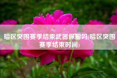 暗区突围赛季结束武器保留吗(暗区突围赛季结束时间) 暗区突围赛季结束武器保留吗(暗区突围赛季结束时间)
