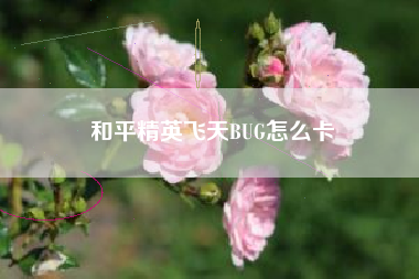 和平精英飞天BUG怎么卡