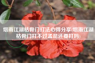 烟雨江湖枯骨门打法心得分享(烟雨江湖枯骨门打不过孟昆还要打吗)