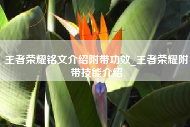 王者荣耀铭文介绍附带功效_王者荣耀附带技能介绍