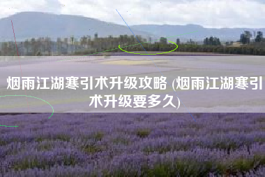 烟雨江湖寒引术升级攻略 (烟雨江湖寒引术升级要多久)
