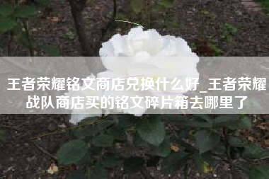 王者荣耀铭文商店兑换什么好_王者荣耀战队商店买的铭文碎片箱去哪里了