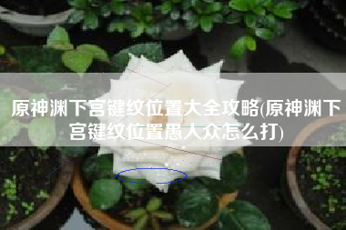 原神渊下宫键纹位置大全攻略(原神渊下宫键纹位置愚人众怎么打)