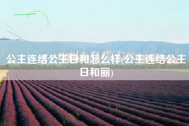 公主连结公主日和怎么样(公主连结公主日和丽)