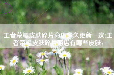 王者荣耀皮肤碎片商店多久更新一次(王者荣耀皮肤碎片商店有哪些皮肤)