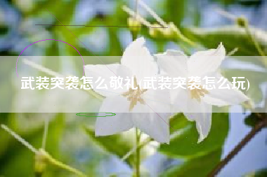 武装突袭怎么敬礼(武装突袭怎么玩)