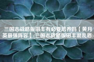 三国志战略版田丰有必要培养吗【黄月英最强阵容】(三国志战略版田丰混乱盾)